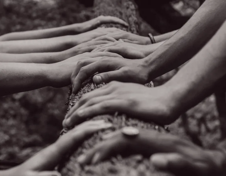Many hands resting together along a tree trunk