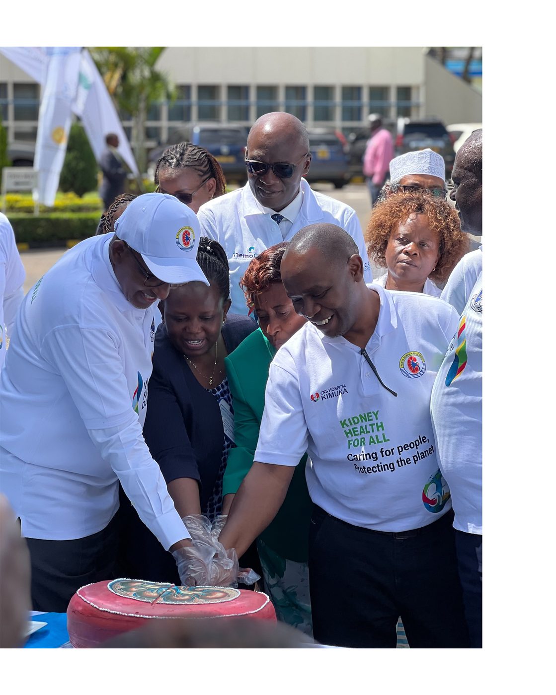 World Kidney Day